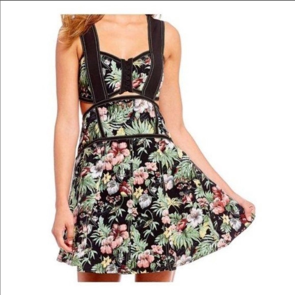 NWOT Gianni Bini feminine goth garden fairy embroidered cut-out dress